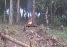 العملاق الضحى يكتسح غابة الرميلات بطنجة