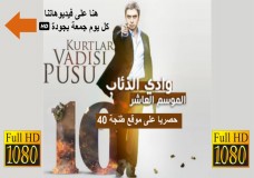 مشاهدة مسلسل وادي الذئاب الجزء العاشر 10 الحلقة 1+2 بجودة عالية FullHD