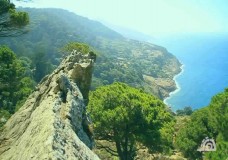 مشروع «فيلات» أغنياء طنجة يهدد آخر ما تبقى من الغطاء الغابوي المحيط بالمدينة
