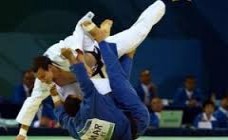 الألعاب الأولمبية 2016: إقصاء لاعب الجودو المغربي عماد باسو في دور الثمن 