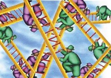 شمال أفريقيا والشرق الأوسط تحت مجهر الفوضى الخلاقة ؟!