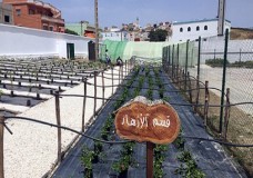 تدشين فضاءات تربوية بثانوية القصر الصغير في إطار مشروع تعاون مغربي سعودي