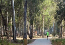 الوكالة الوطنية للمياه والغابات تؤكد التزامها المستمر لأجل صيانة وتثمين غابة المعمورة بشكل مستدام