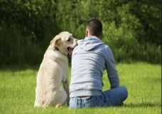 وفاء كلب ينقذ صاحبه من حريق اندلع داخل شقة في شمال ألمانيا