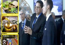 مكناس تحتضن الدورة الـ18 للمعرض الدولي للفلاحة في صيغة موسعة تمتد لتسعة أيام.