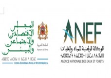 لوكالةُ الوطنيةُ للمياهِ والغاباتِ والمجلسُ الاقتصاديُّ والاجتماعيُّ والبيئيُّ يعزّزان جهودَ مكافحةِ الاعتداءاتِ على البيئة