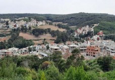 طنجة تتحصن ضد أطماع العقار: معركة تحفيظ الغابات تخرج من بطء العقود
